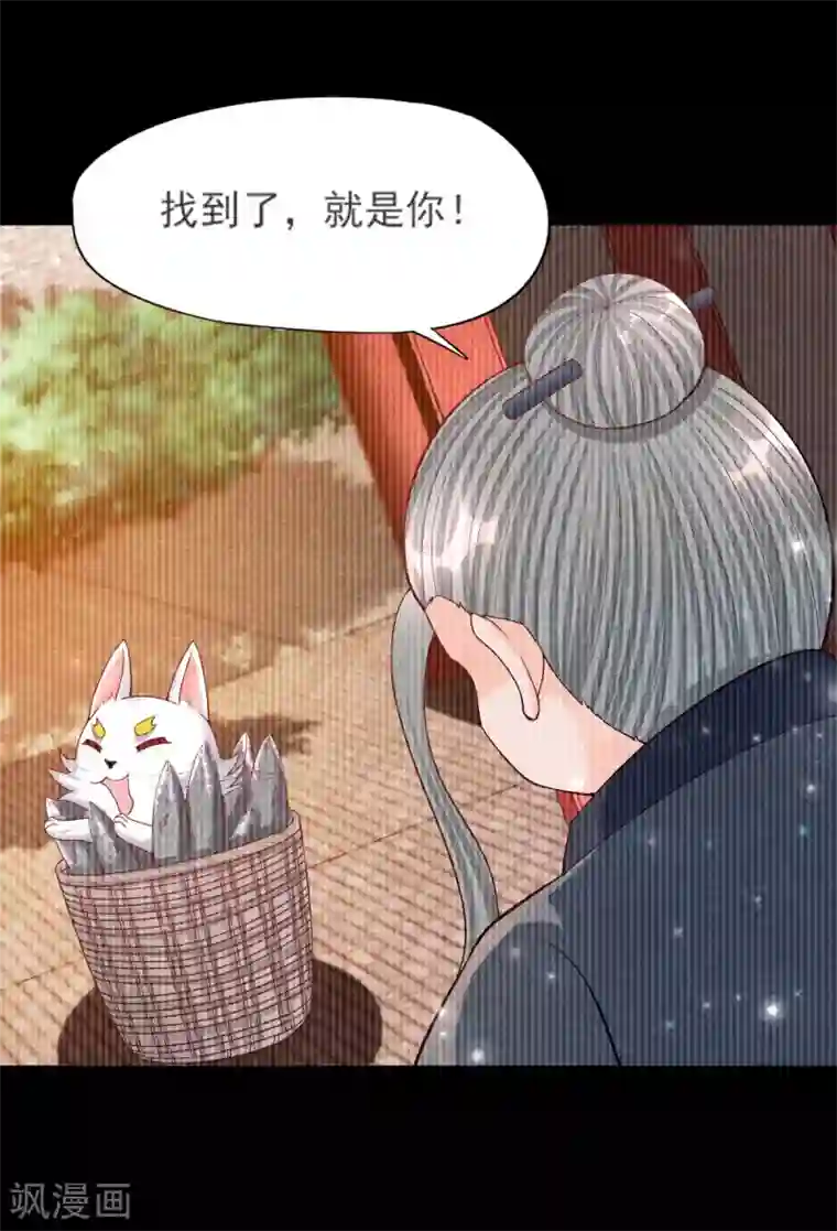 杨戬第24话 回苗家