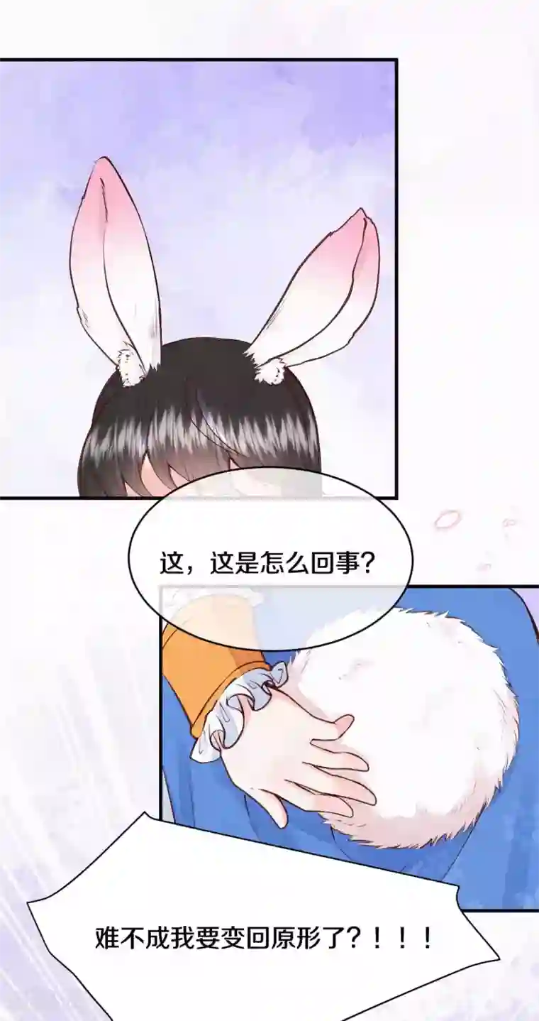 皇家媳妇的生存手册番外1 突然长出耳朵啦（供养加更）