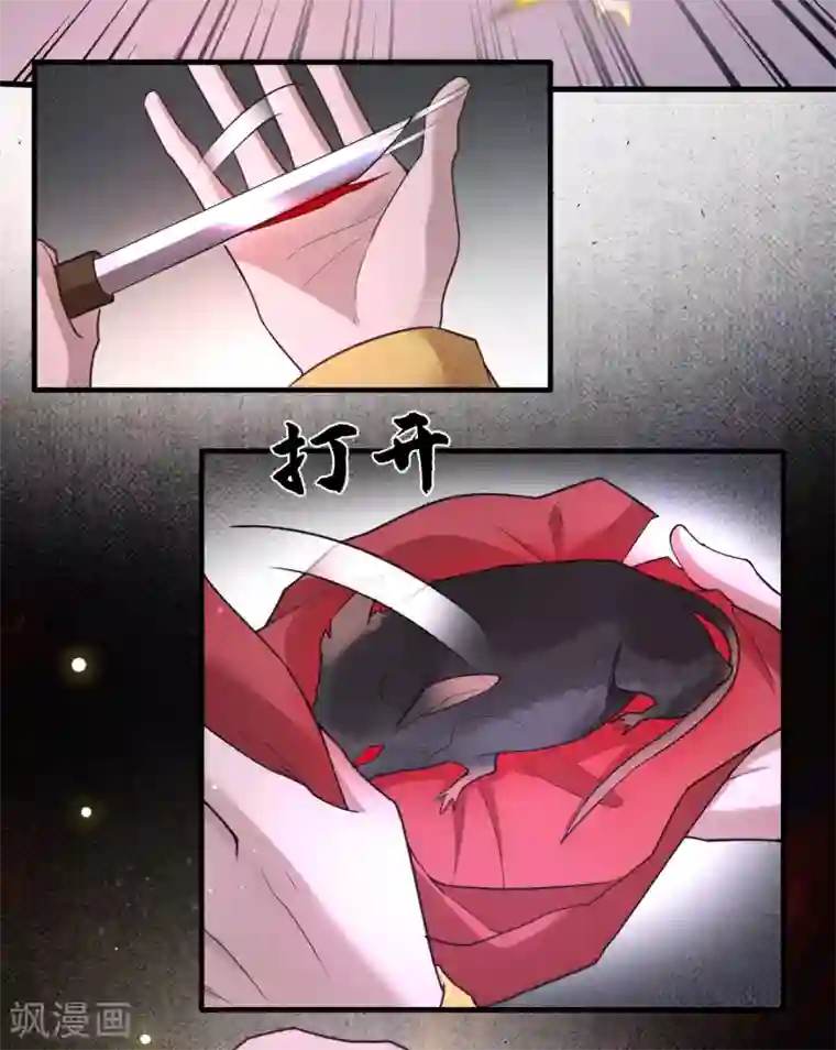 这个王妃路子野第33话 赶紧把那只猫精收拾了！