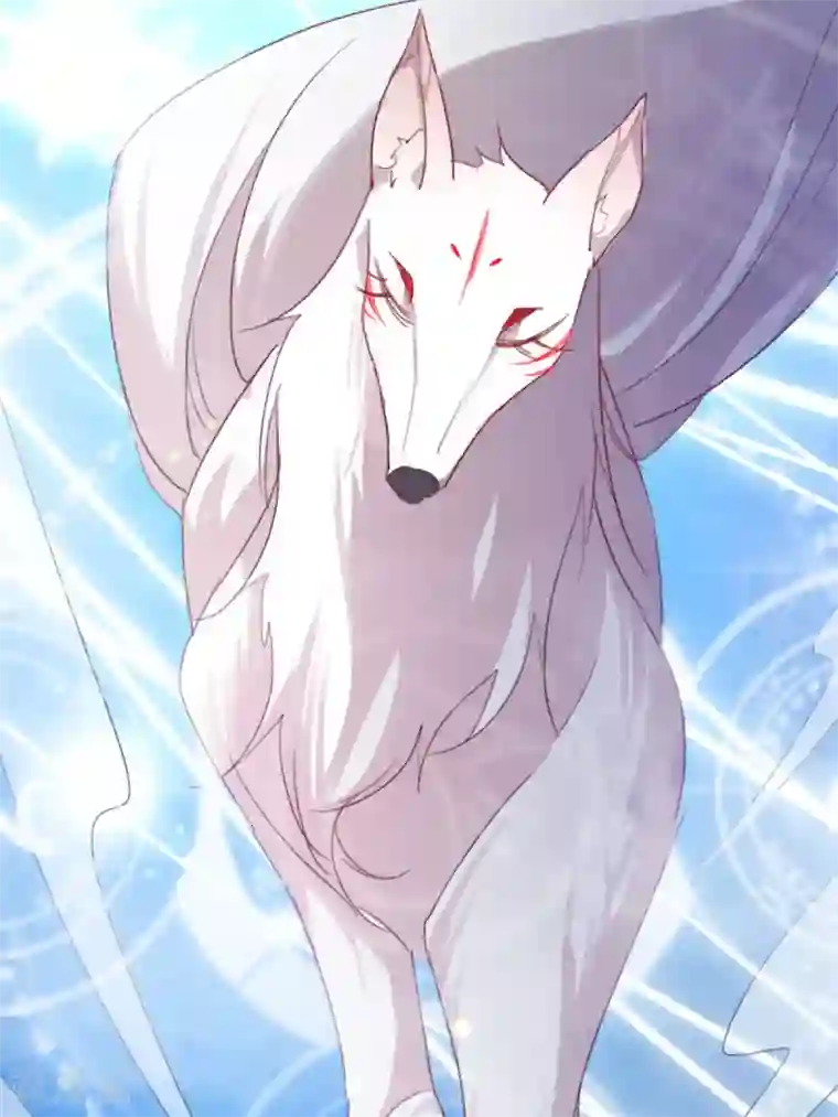 驭兽狂妃第14话 夜探皇宫