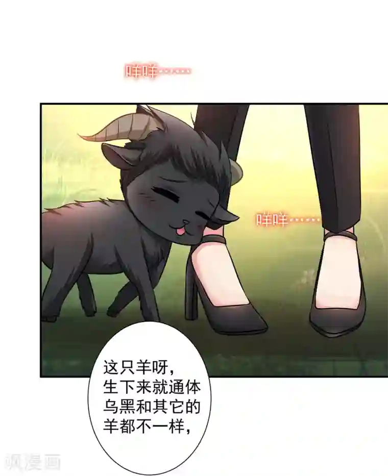 再不斩白做到哭