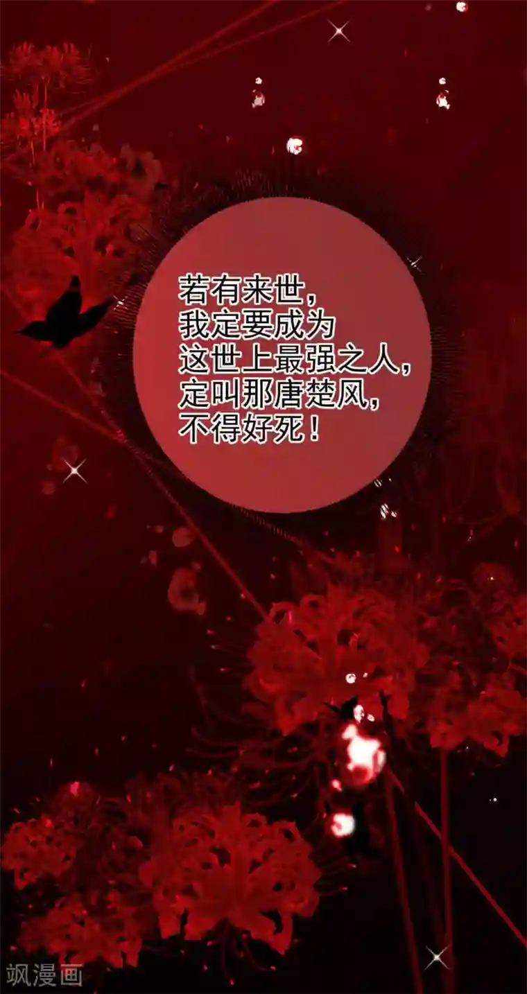 逆天毒妃第1话 浴火重生