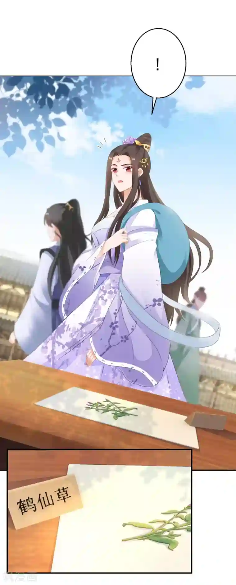 逆天毒妃第13话 不识货的傻子