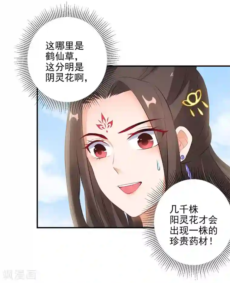 逆天毒妃第13话 不识货的傻子