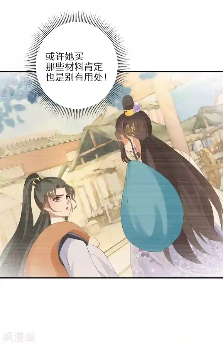 逆天毒妃第23话 南宫家的实权