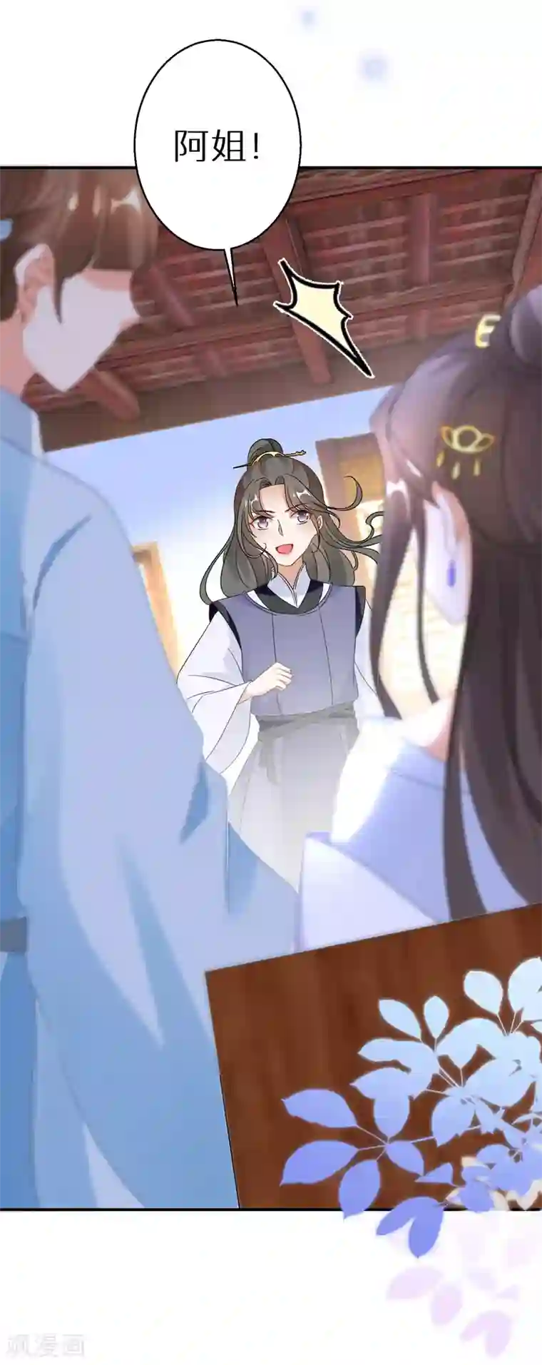 逆天毒妃第23话 南宫家的实权