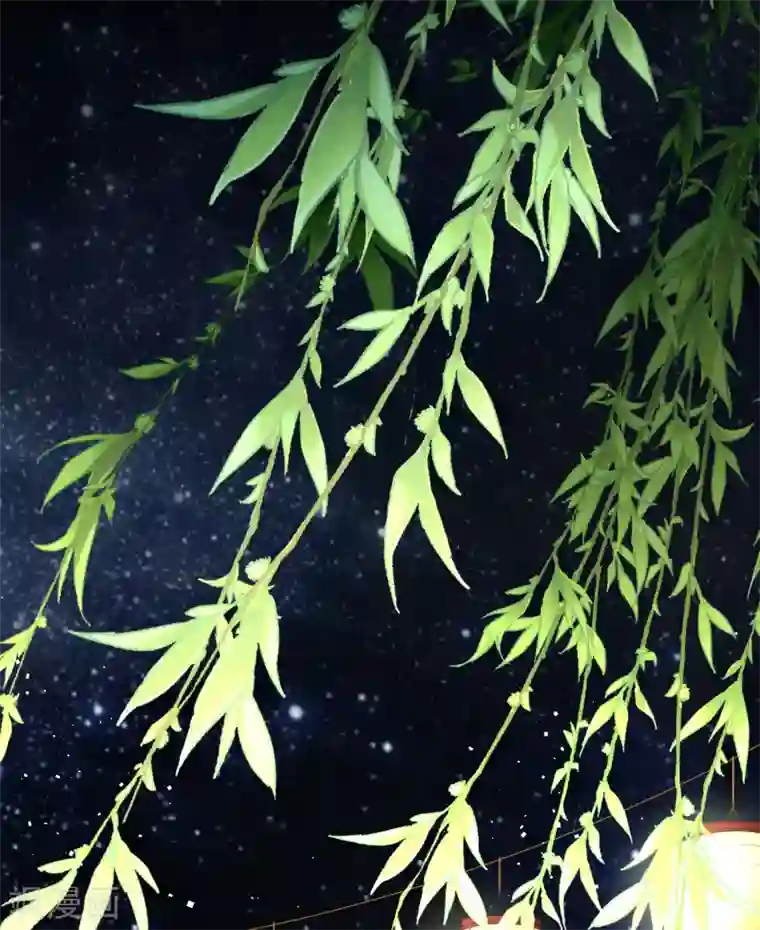 寻找前世之旅第2季第4话 宿命的再次开始1