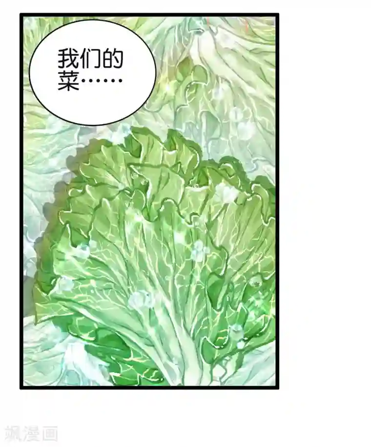 今天开始当首富第185话 自己的东西永远是最好的