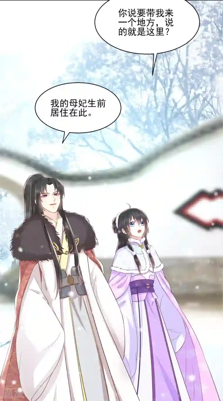 痴傻毒妃不好惹第137话 你若不负，我必相随