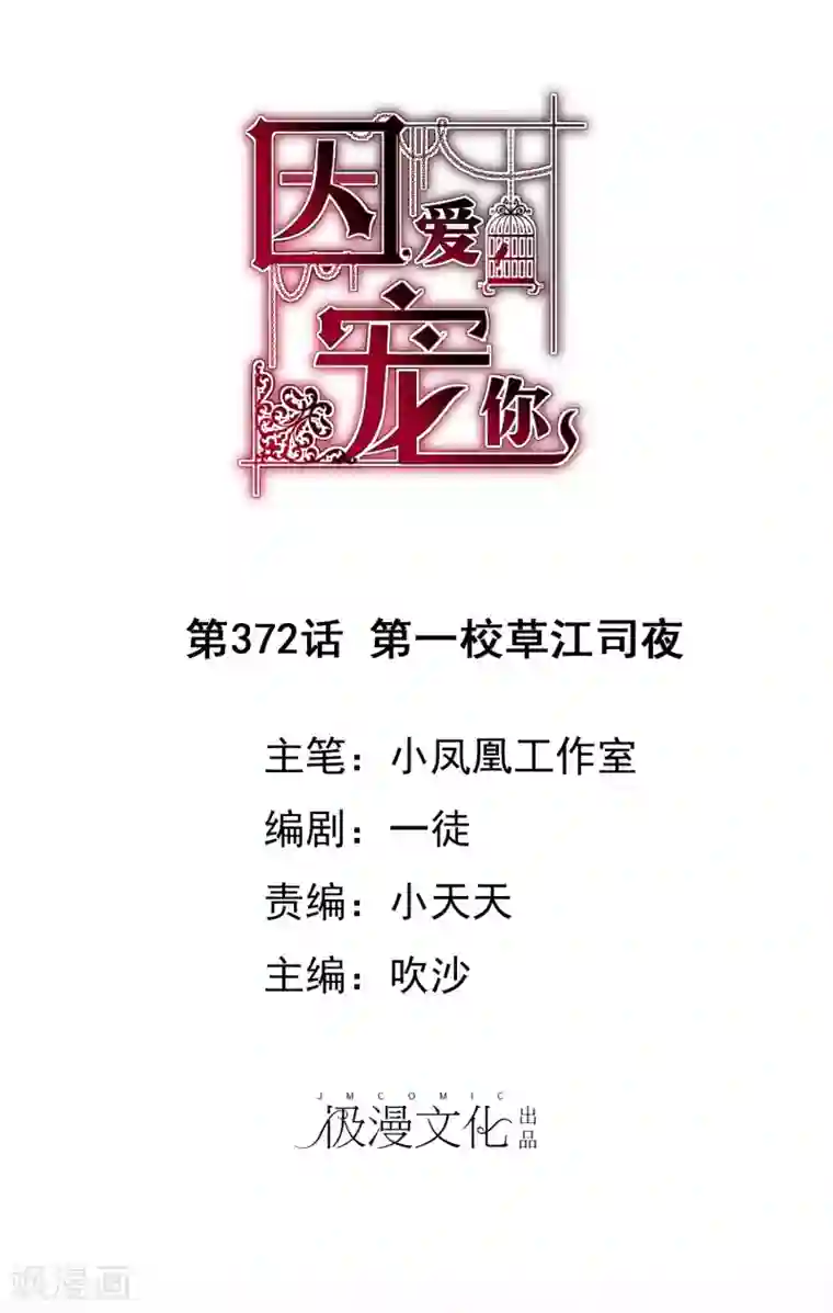 因爱宠你第372话