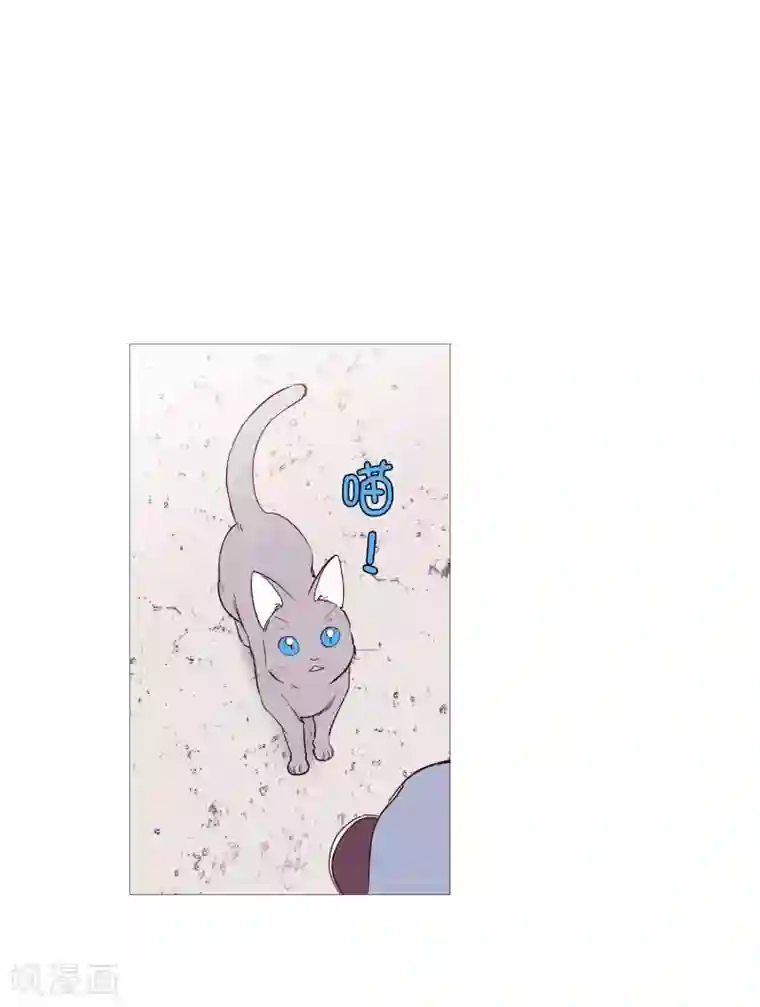 动物灵魂管理局第128话 天凉了