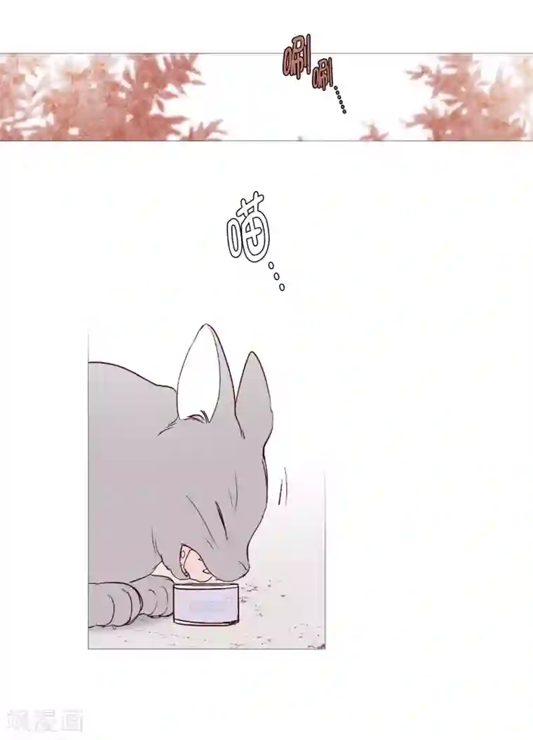 动物灵魂管理局第128话 天凉了