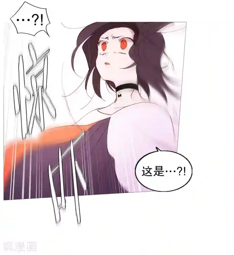 动物灵魂管理局第130话 死因