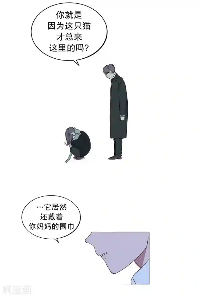 动物灵魂管理局第130话 死因