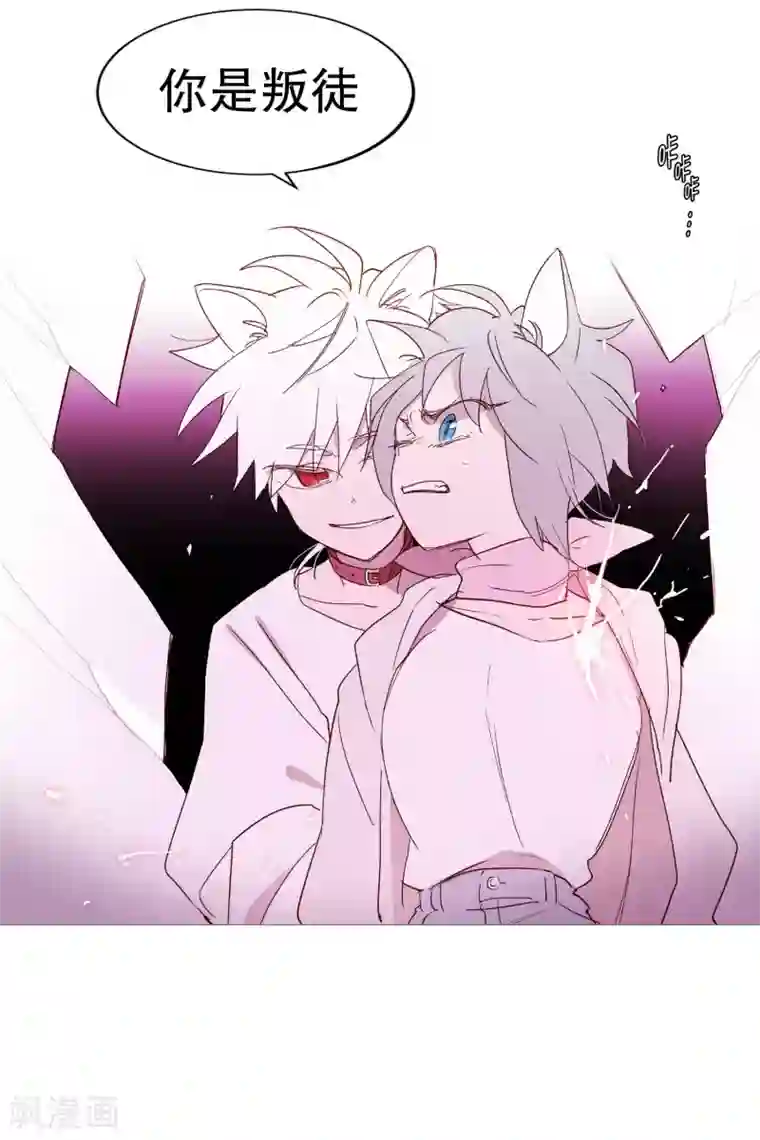 动物灵魂管理局第130话 死因