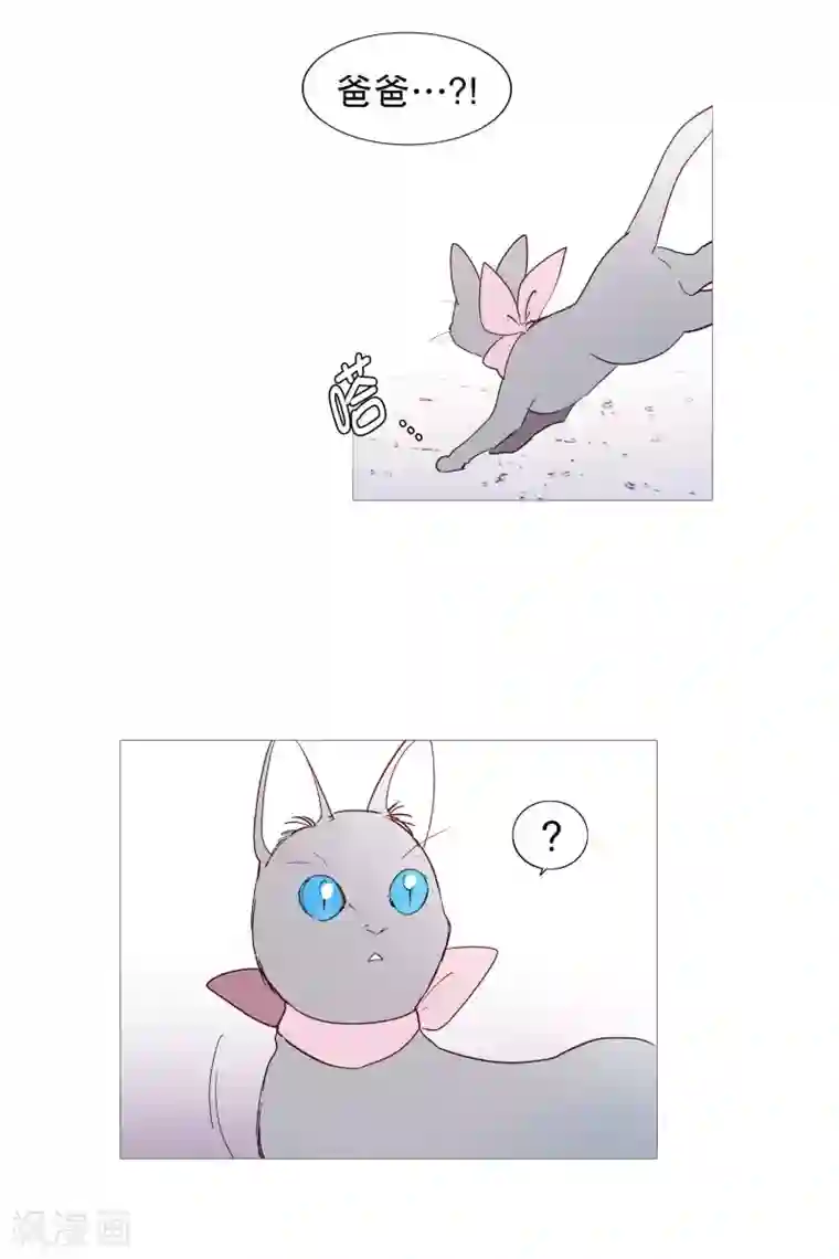 动物灵魂管理局第130话 死因