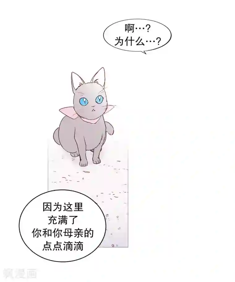 动物灵魂管理局第130话 死因