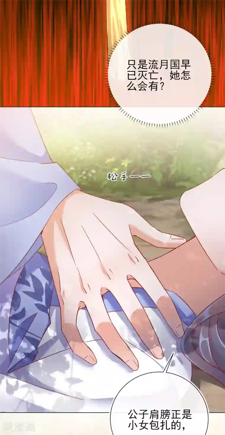 王妃的成长攻略第35话 一年前的真相