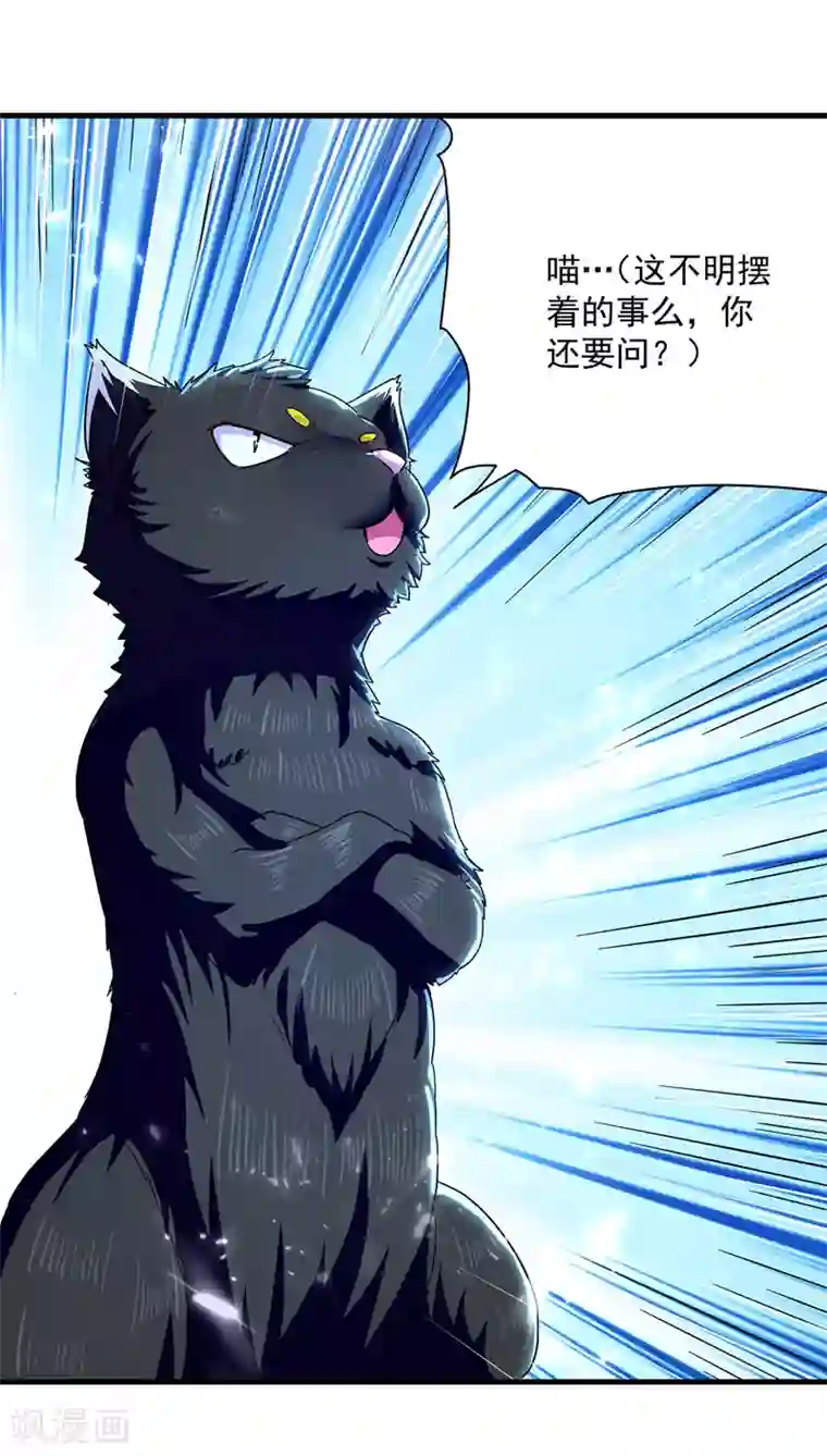 凌天神帝第149话 收服小猫咪