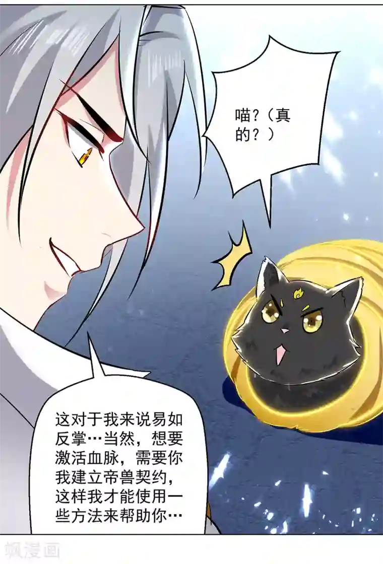 凌天神帝第149话 收服小猫咪