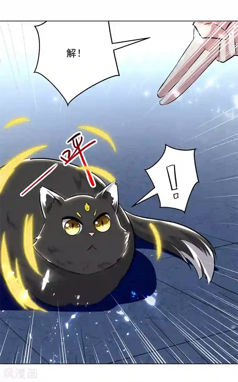 凌天神帝第149话 收服小猫咪