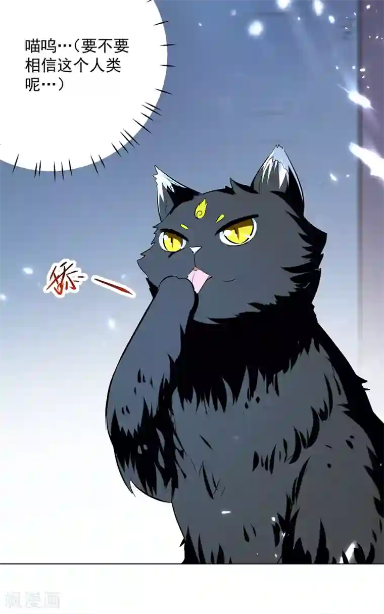 凌天神帝第149话 收服小猫咪