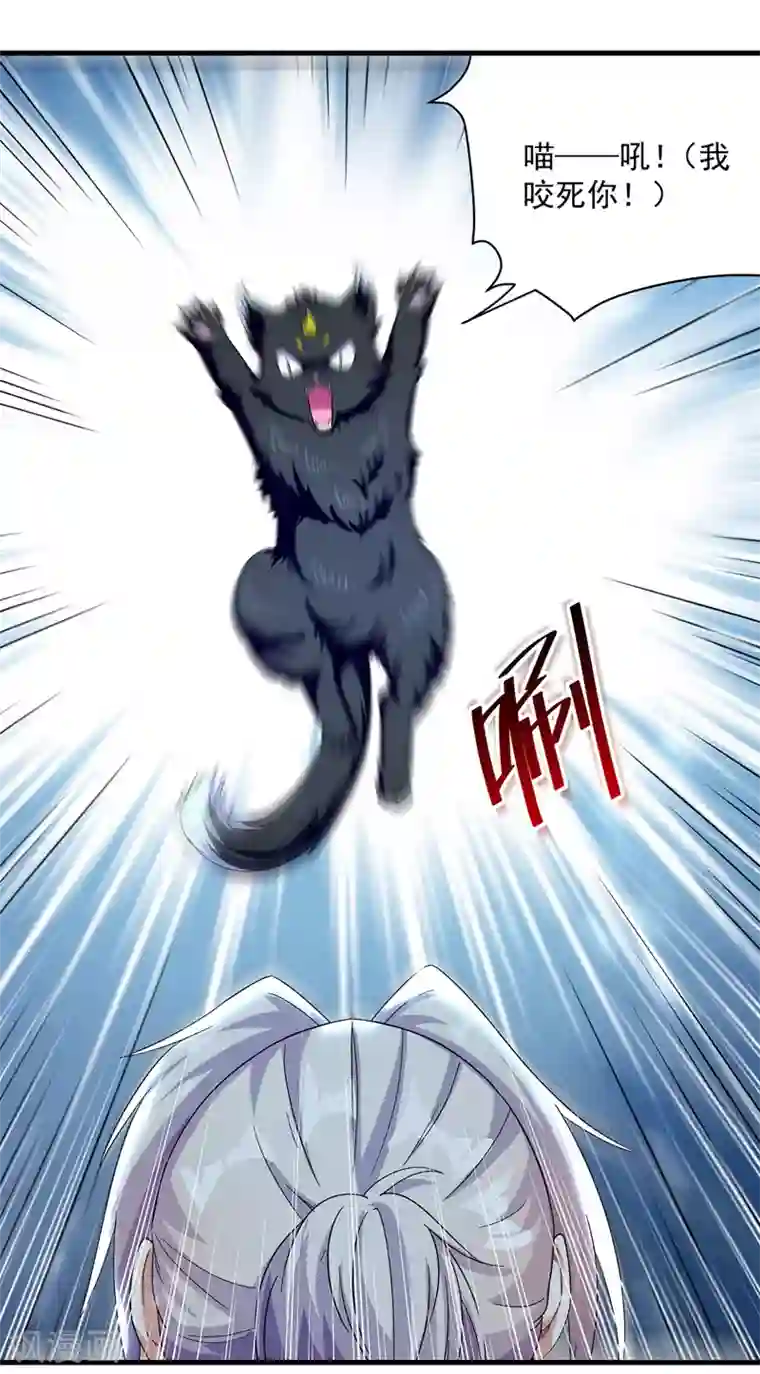 凌天神帝第149话 收服小猫咪