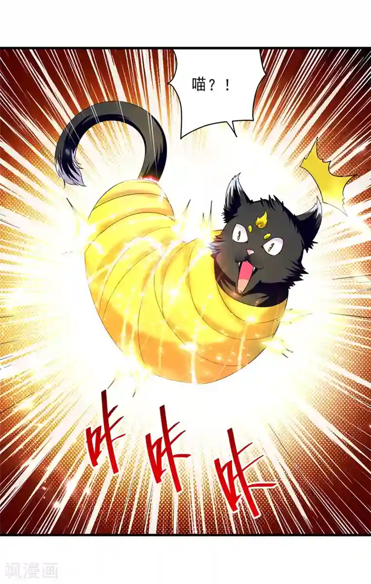 凌天神帝第149话 收服小猫咪
