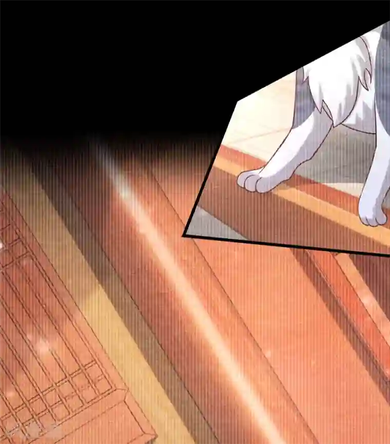 杨戬第25话 特训师