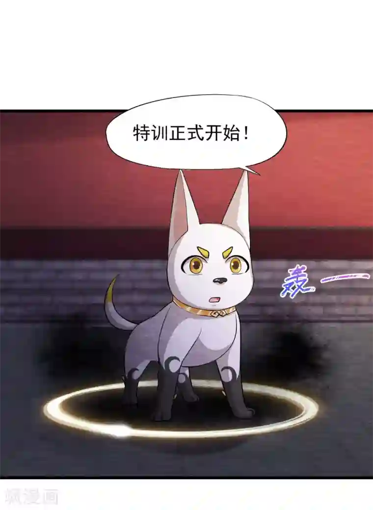 杨戬第25话 特训师