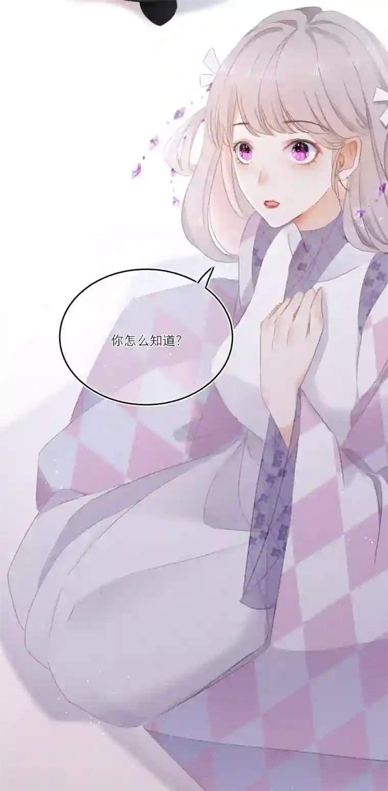 穿越到春秋男校当团宠第4话 美人作陪