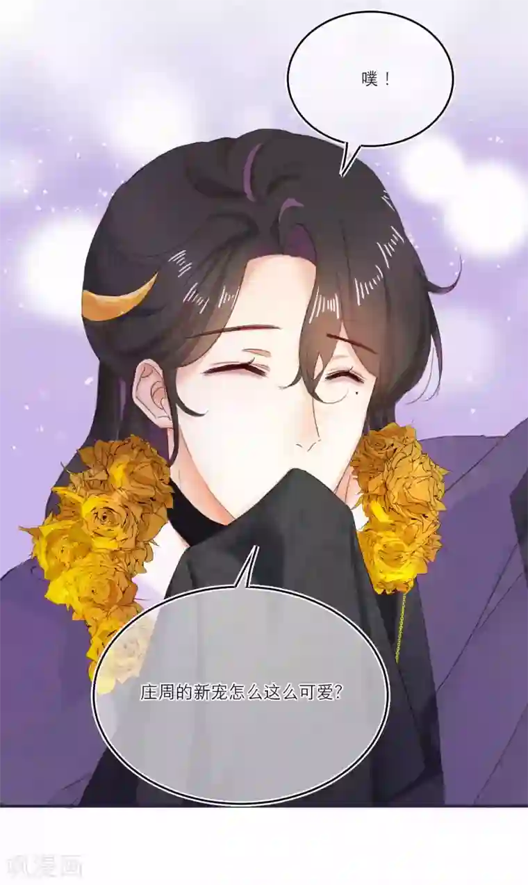 穿越到春秋男校当团宠第5话 美人在怀