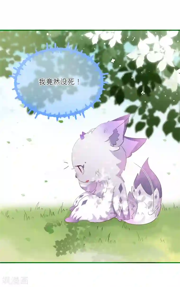 穿越到春秋男校当团宠第10话 神秘力量