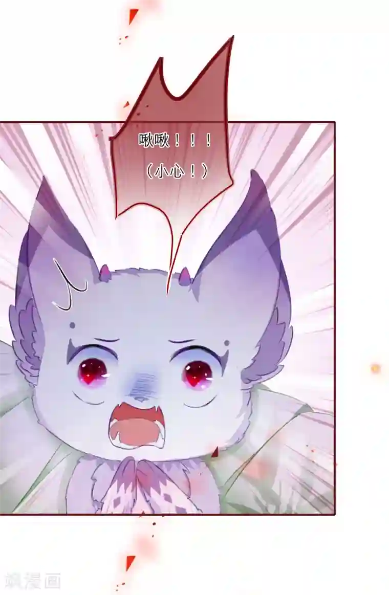 穿越到春秋男校当团宠第13话 能力秘境是“动物园”？