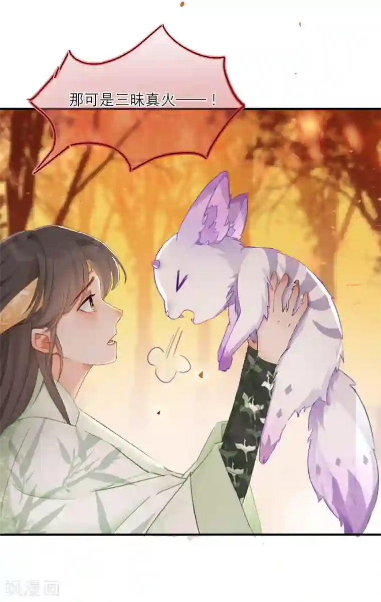 穿越到春秋男校当团宠第13话 能力秘境是“动物园”？