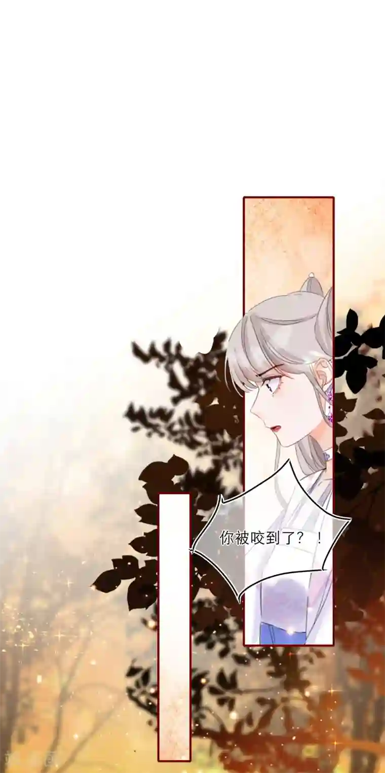 穿越到春秋男校当团宠第14话 森林大逃杀