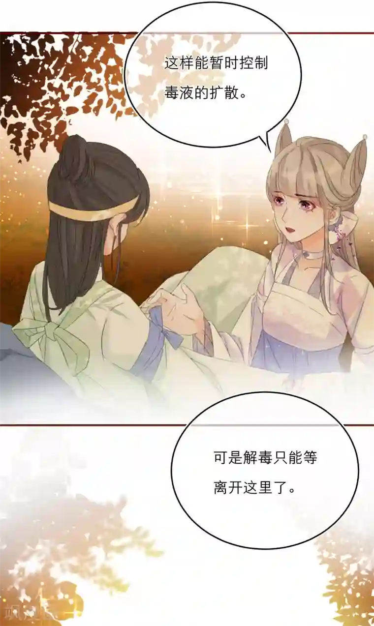 穿越到春秋男校当团宠第14话 森林大逃杀