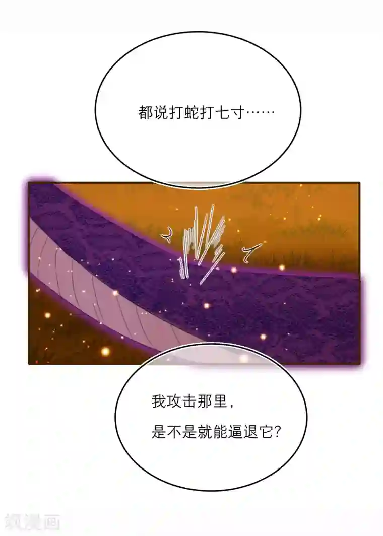 穿越到春秋男校当团宠第14话 森林大逃杀