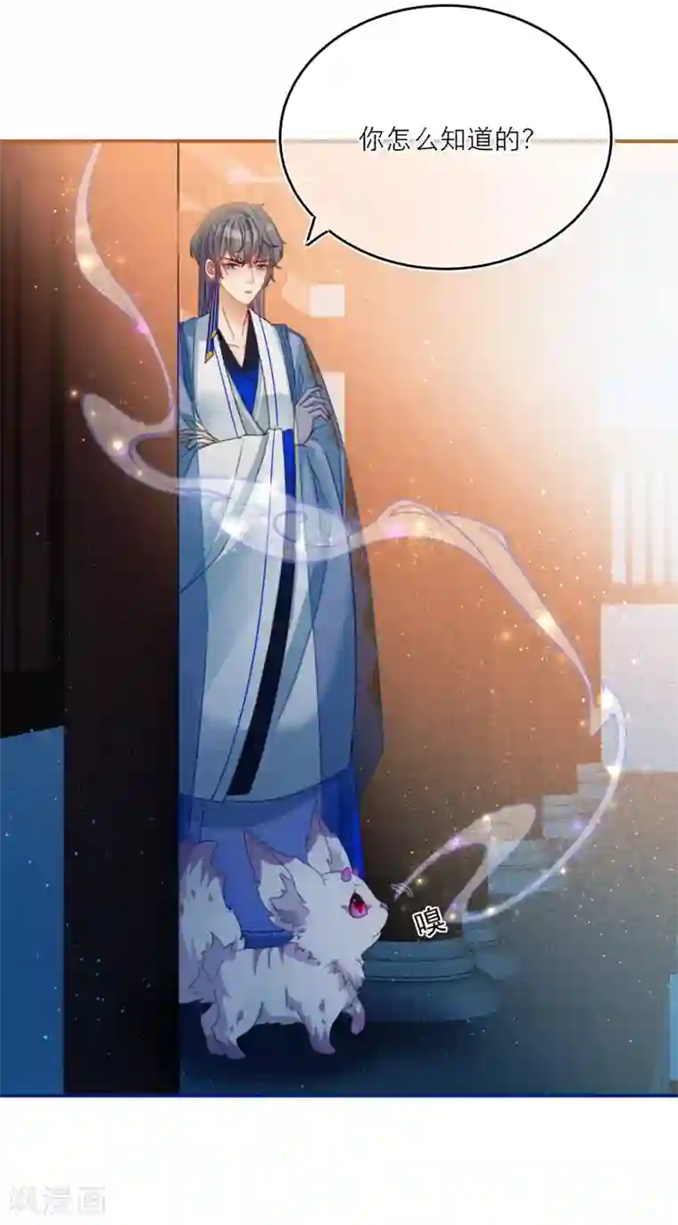 穿越到春秋男校当团宠第18话 情敌？cp粉！