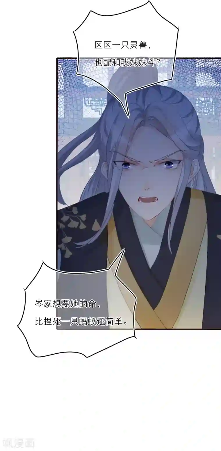 穿越到春秋男校当团宠第24话 灵兽凭什么得到宠爱？