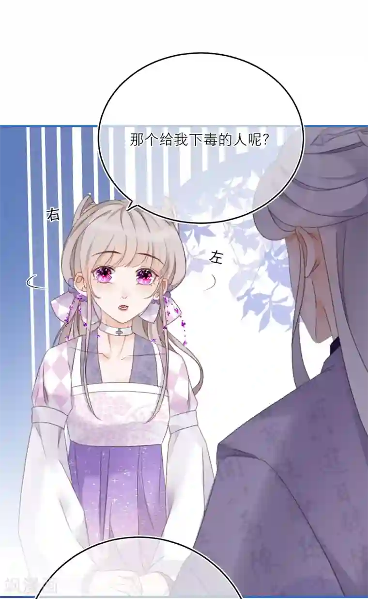 穿越到春秋男校当团宠第24话 灵兽凭什么得到宠爱？