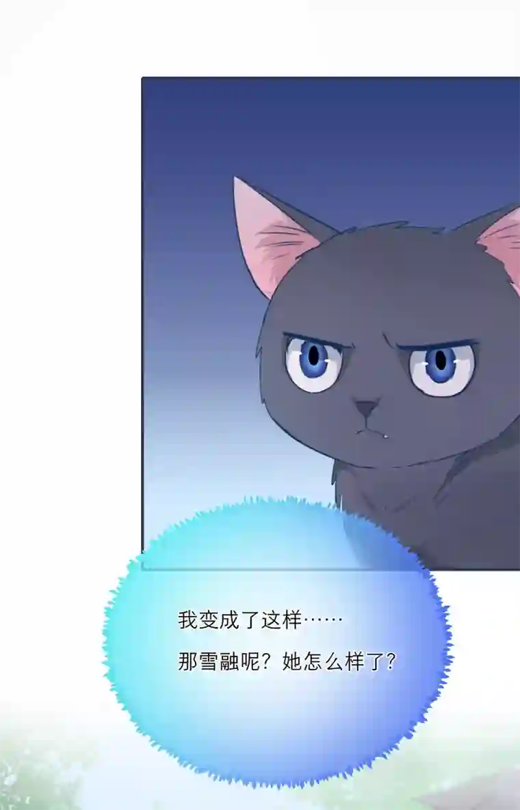 穿越到春秋男校当团宠第43话 雪融的专属宠物