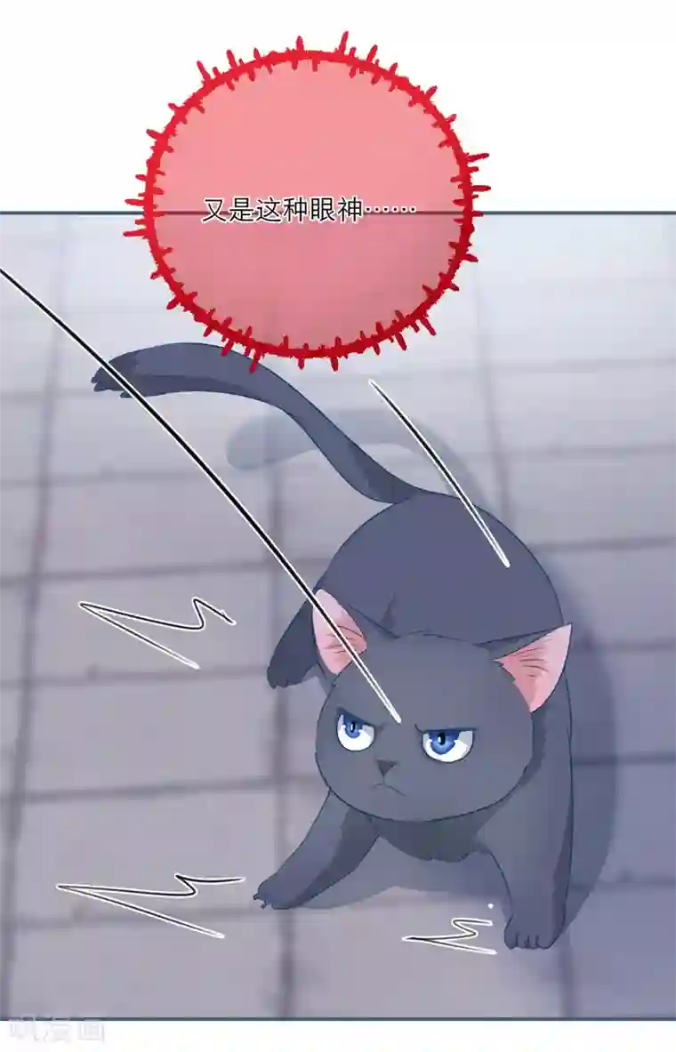 穿越到春秋男校当团宠第43话 雪融的专属宠物