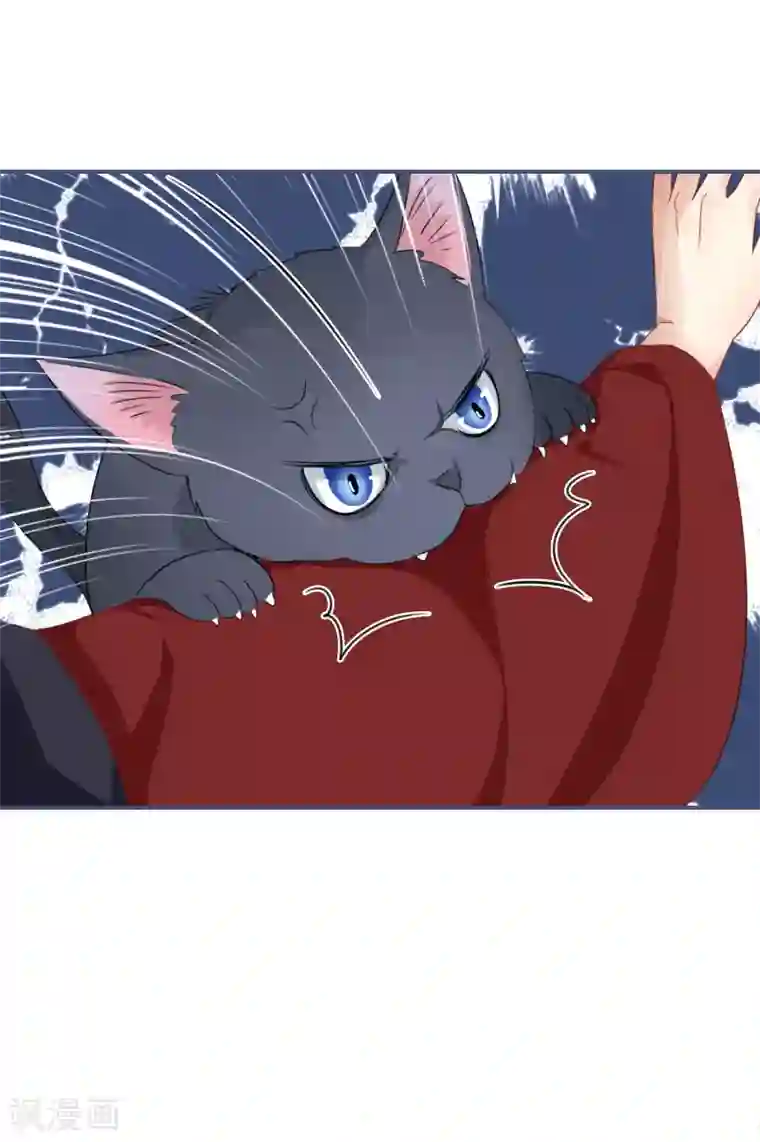 穿越到春秋男校当团宠第43话 雪融的专属宠物