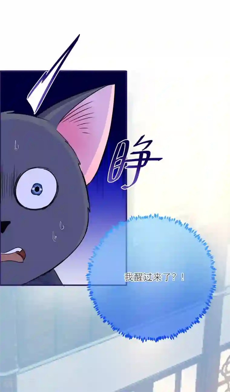 穿越到春秋男校当团宠第47话 韩非的心魔