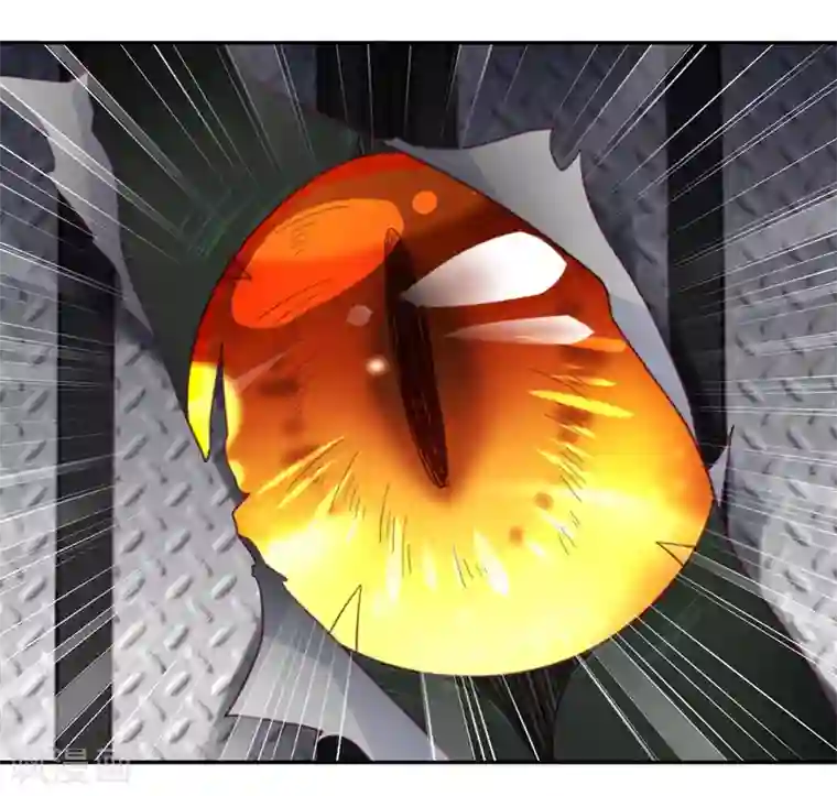 向黑化总裁献上沙雕第81话 市长是vtuber！