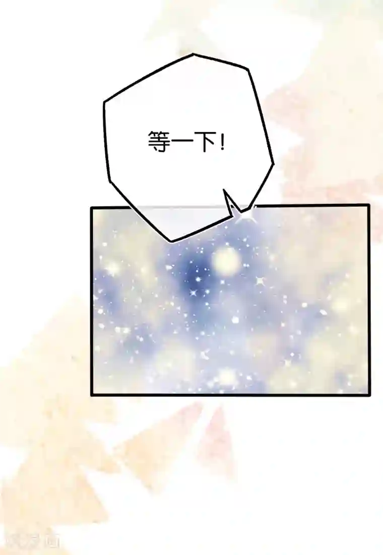 先婚后爱最终话 世纪婚礼