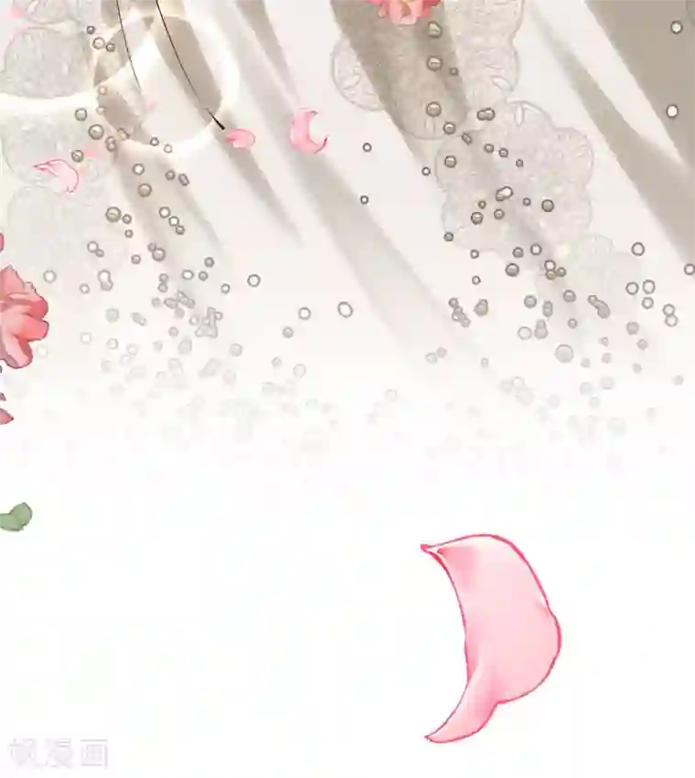 先婚后爱最终话 世纪婚礼