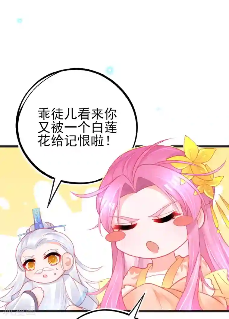 本王妃神藤在手第117话 辰王一挥手白莲滚三圈