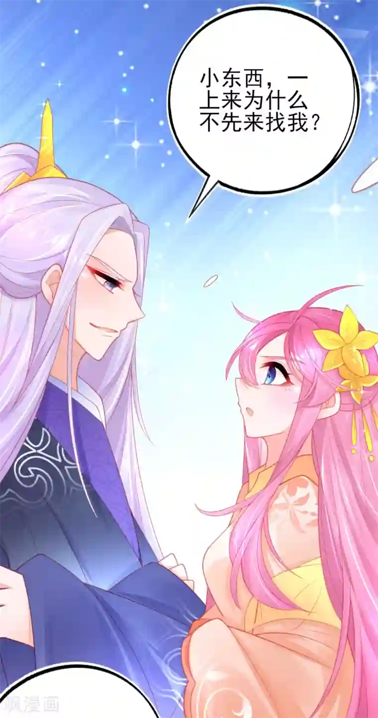 本王妃神藤在手第117话 辰王一挥手白莲滚三圈